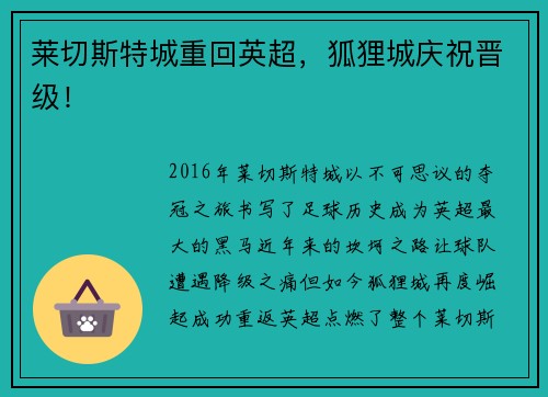莱切斯特城重回英超，狐狸城庆祝晋级！